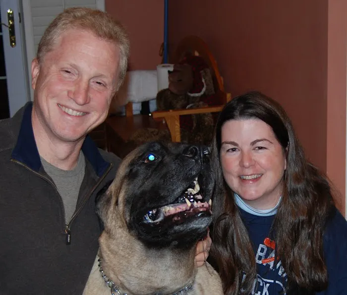 House Paws Animal Hospital Lovettsville Picture 9