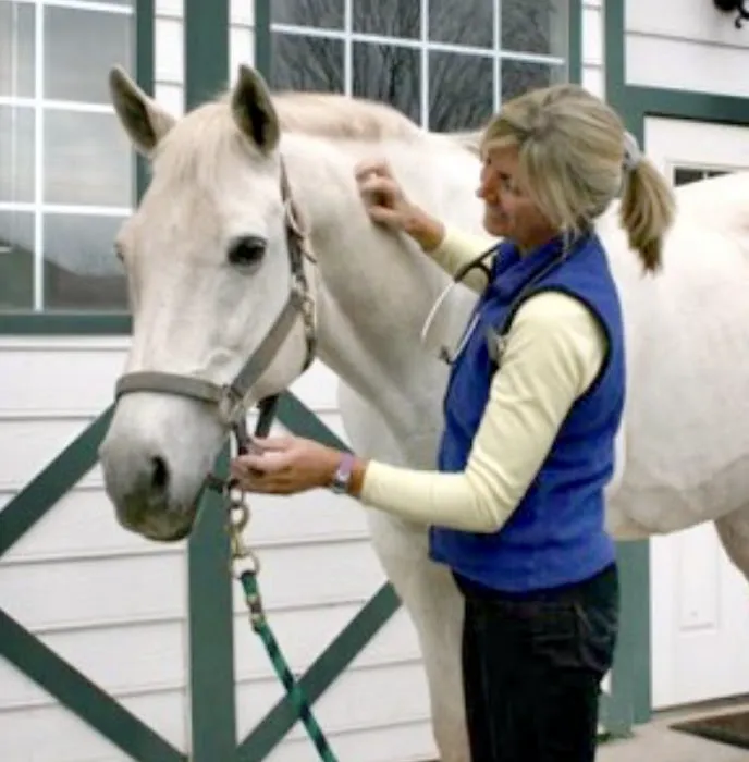 Wagner Equine Veterinary Services Picture 2