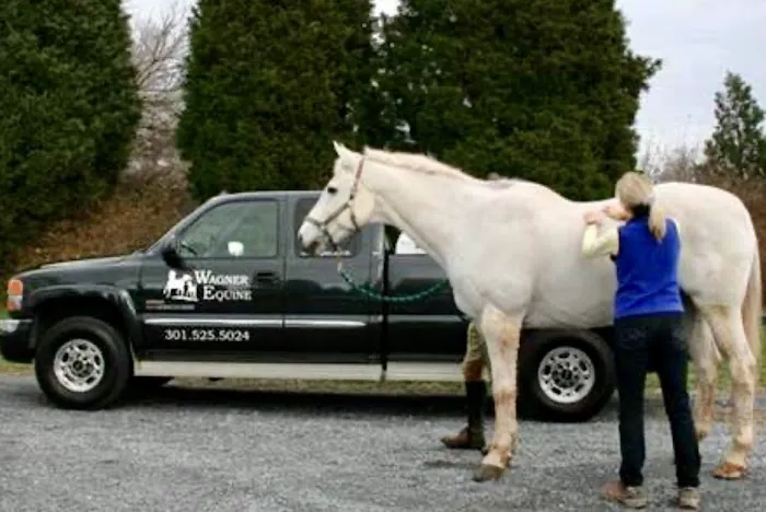 Wagner Equine Veterinary Services Picture 1