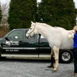 Wagner Equine Veterinary Services