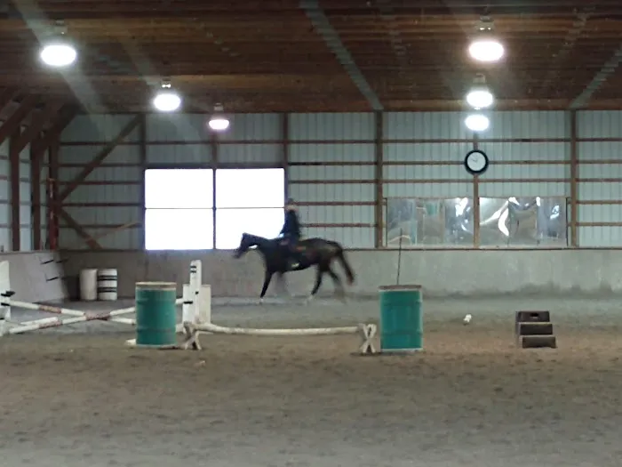 Bay Equine Services Picture 3