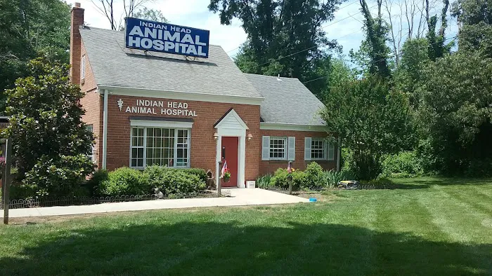 Indian Head Animal Hospital Picture 7