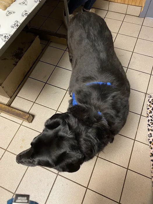 Waldorf Animal Clinic Picture 2