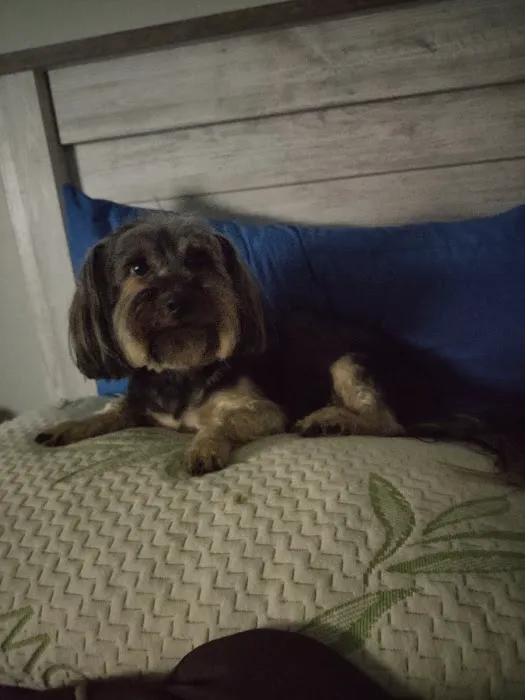 Waldorf Animal Clinic Picture 1