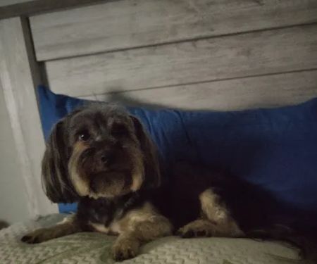 Waldorf Animal Clinic