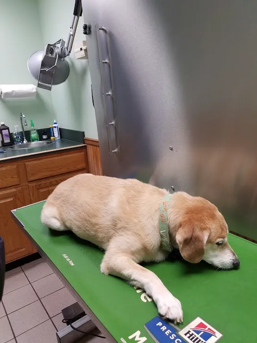 Waldorf Animal Clinic Picture 5