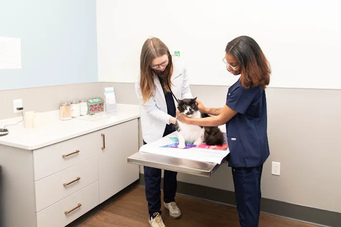 PetMedic Vet Clinic - Old Town Picture 9