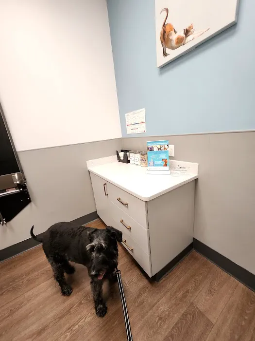PetMedic Vet Clinic - Old Town Picture 5