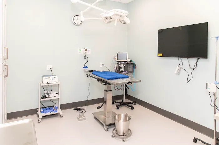 PetMedic Vet Clinic - Old Town Picture 4