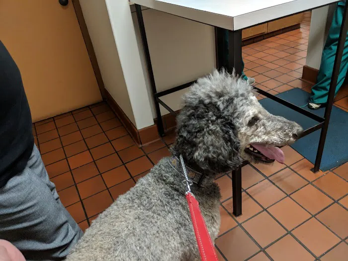 Lynn Animal Hospital Picture 10