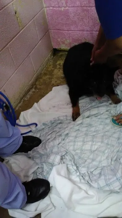 Hyattsville Animal Hospital Picture 2