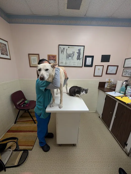 Hyattsville Animal Hospital Picture 7