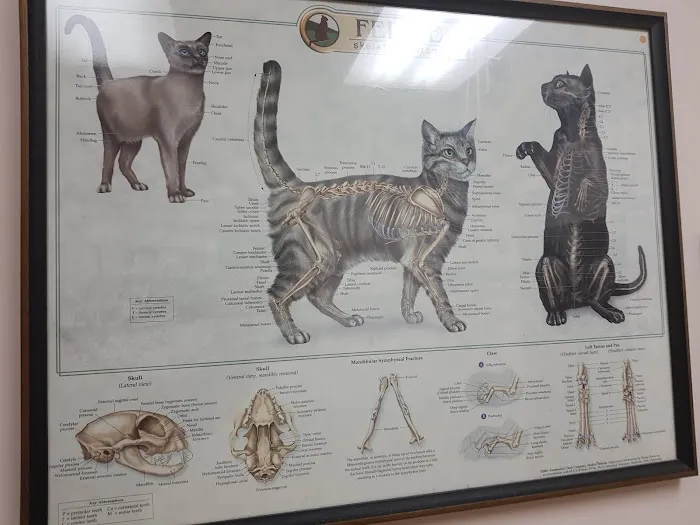 Hyattsville Animal Hospital Picture 10