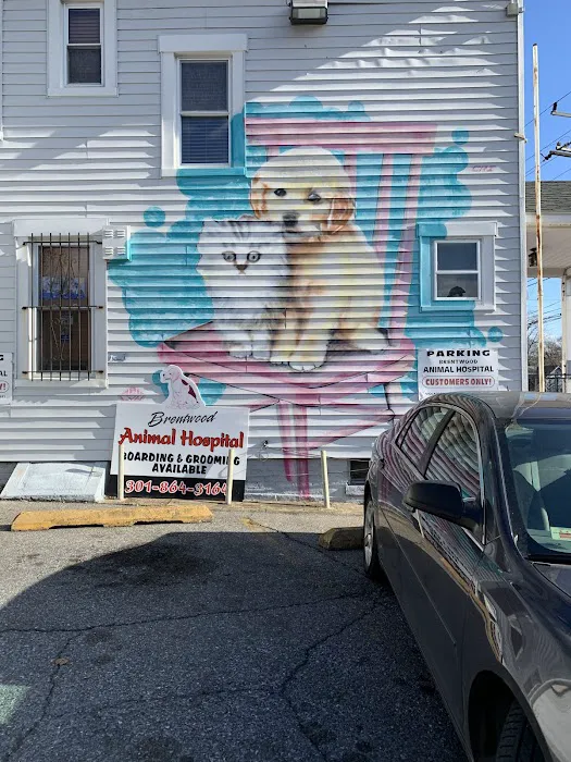 Brentwood Animal Hospital Picture 3