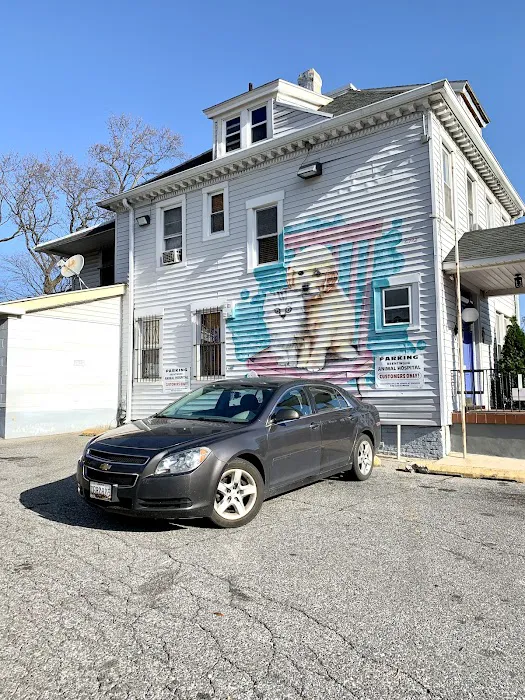 Brentwood Animal Hospital Picture 4