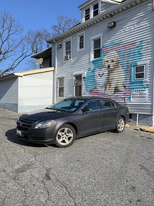 Brentwood Animal Hospital Picture 5