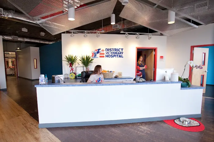 District Veterinary Hospital Brookland Picture 6