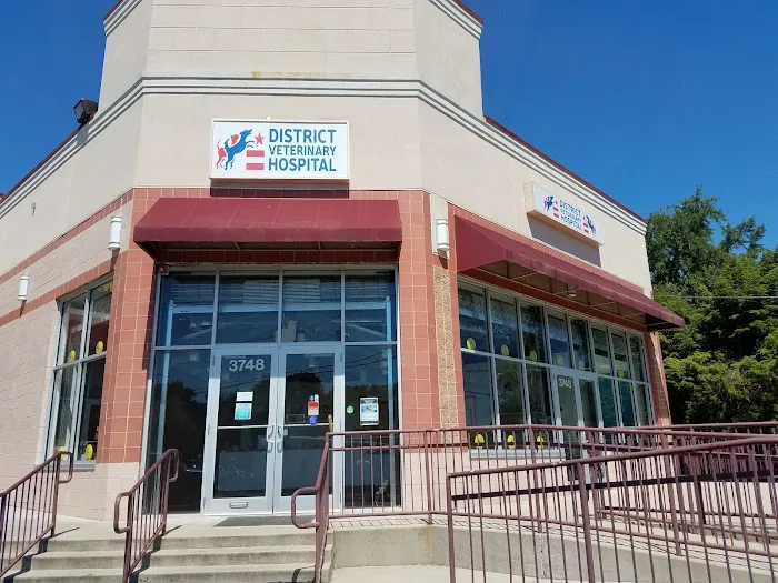 District Veterinary Hospital Brookland Picture 10