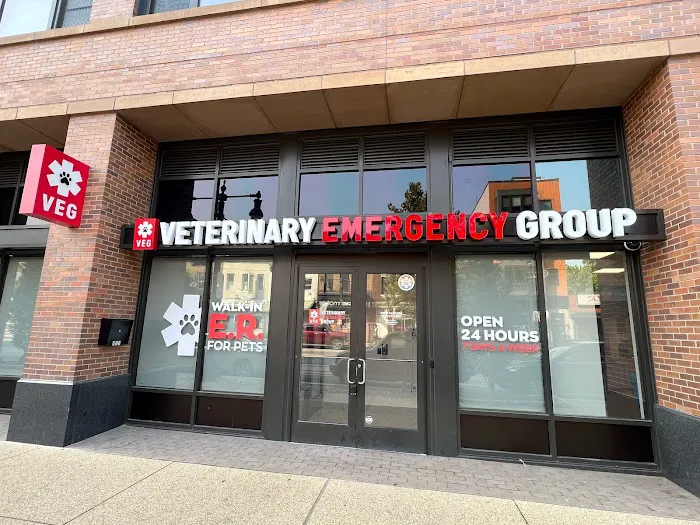 Veterinary Emergency Group Picture 6