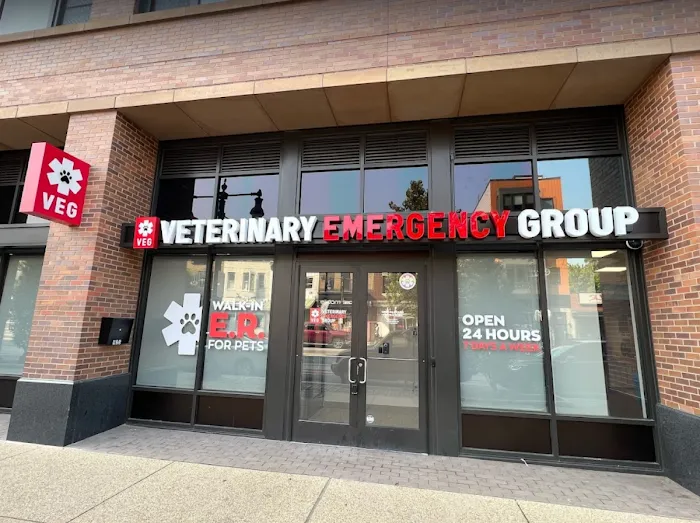 Veterinary Emergency Group Picture 10