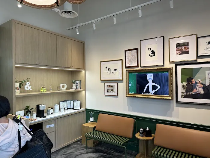 Parker & Ace Veterinary Care Picture 3