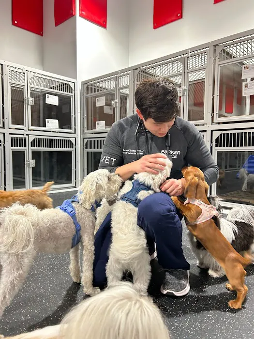 Parker & Ace Veterinary Care Picture 1
