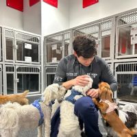 Parker & Ace Veterinary Care ico