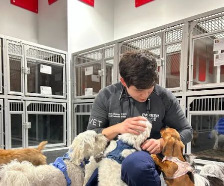 Parker & Ace Veterinary Care