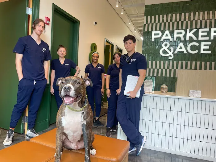 Parker & Ace Veterinary Care Picture 7