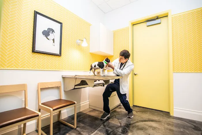 Parker & Ace Veterinary Care Picture 6