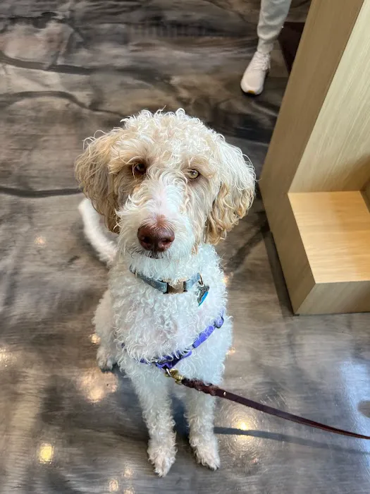 Parker & Ace Veterinary Care Picture 10