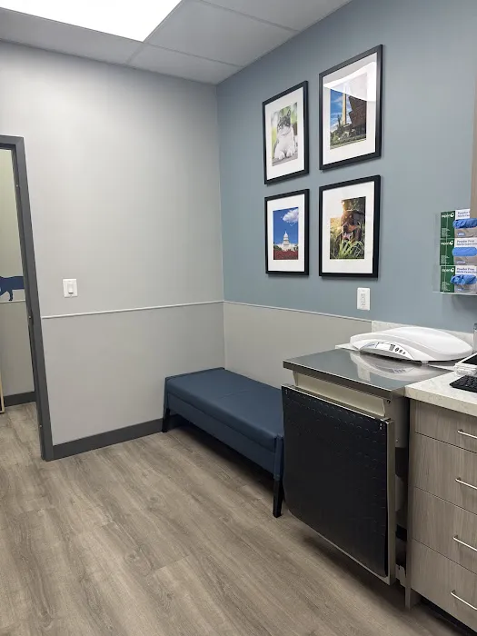 Livewell Animal Hospital of NoMa Picture 2