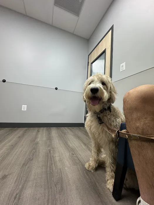 Livewell Animal Hospital of NoMa Picture 6