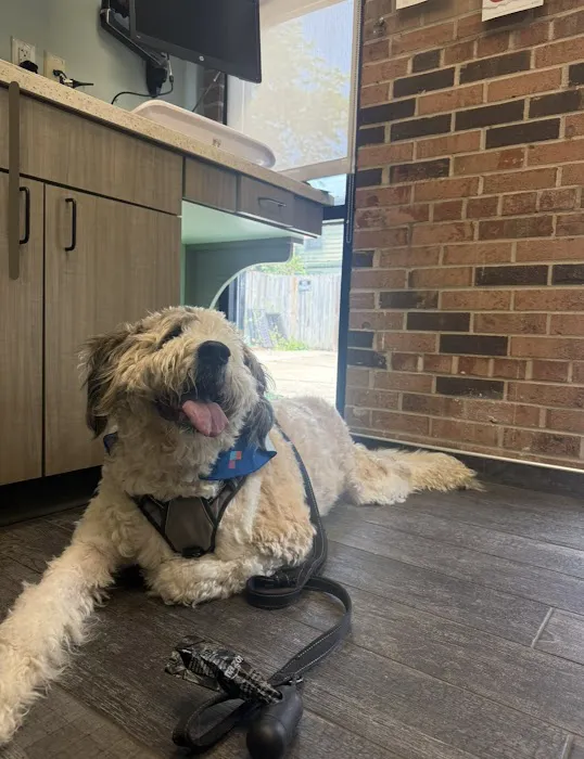 VCA Old Town Animal Hospital Picture 8