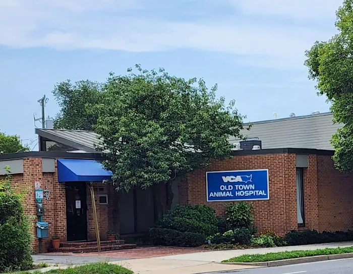 VCA Old Town Animal Hospital Picture 7
