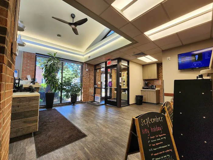VCA Old Town Animal Hospital Picture 9