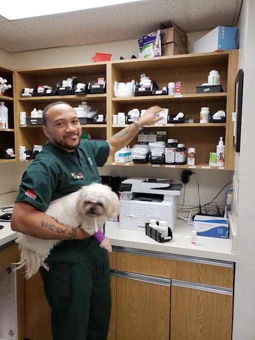 Del Ray Animal Hospital Picture 2