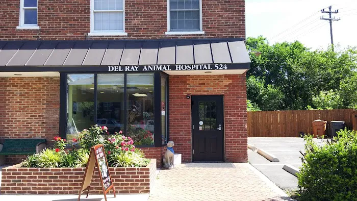 Del Ray Animal Hospital Picture 3