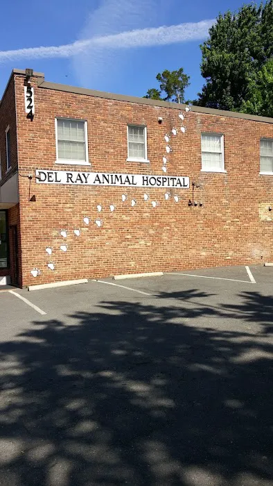 Del Ray Animal Hospital Picture 5