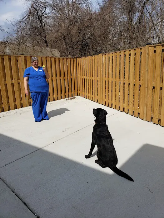 Del Ray Animal Hospital Picture 7