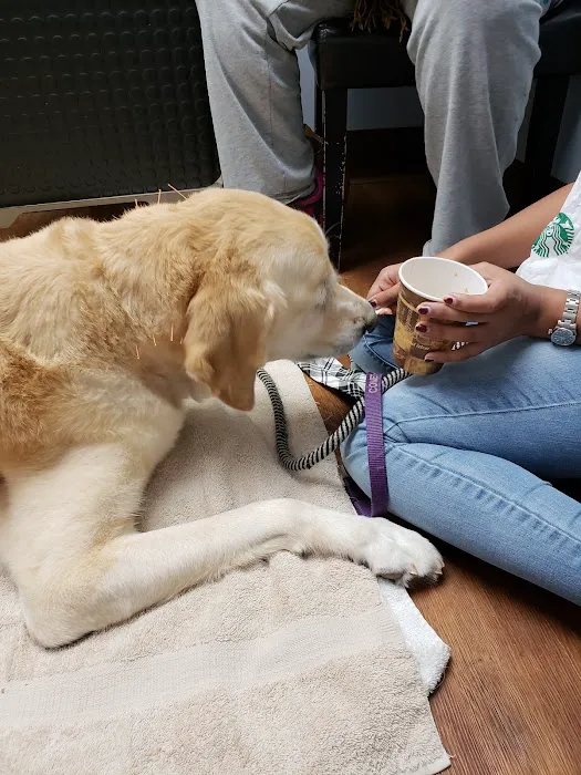 Del Ray Animal Hospital Picture 10
