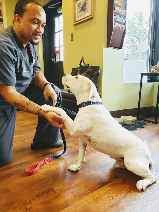 Del Ray Animal Hospital Picture 9