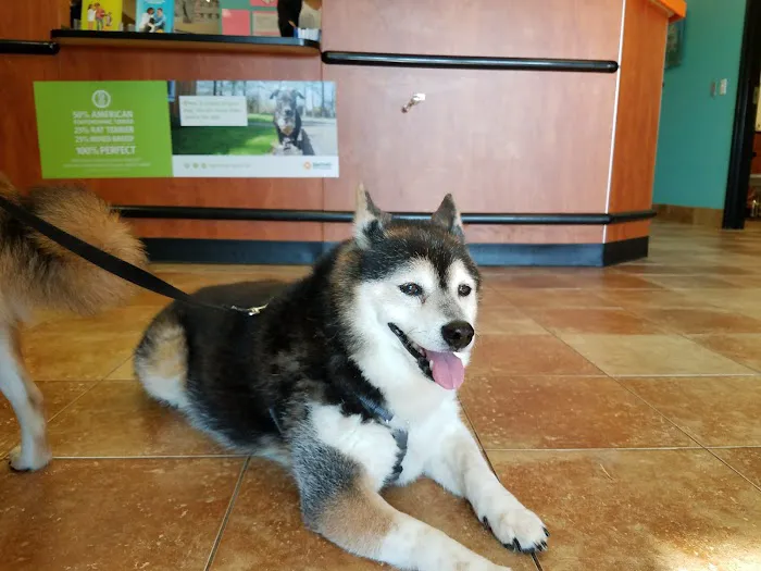 Banfield Pet Hospital Picture 2