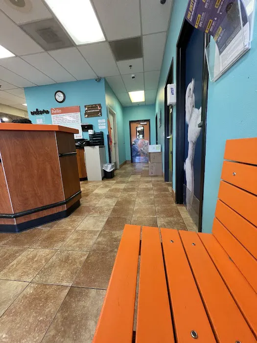 Banfield Pet Hospital Picture 1