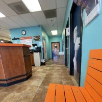 Banfield Pet Hospital ico