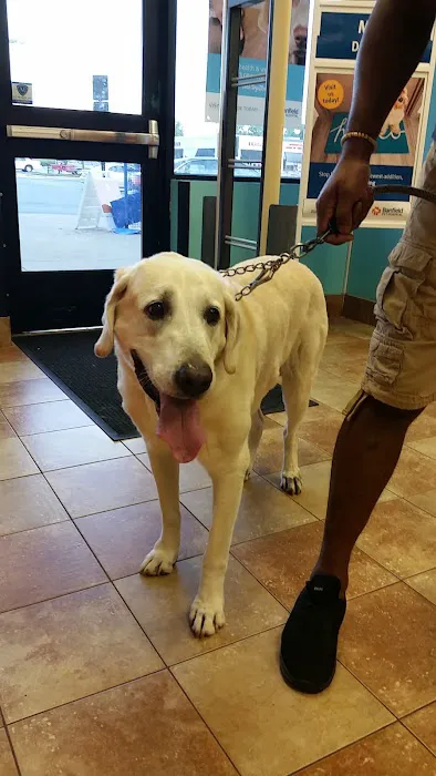 Banfield Pet Hospital Picture 3