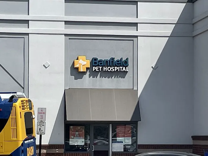Banfield Pet Hospital Picture 8