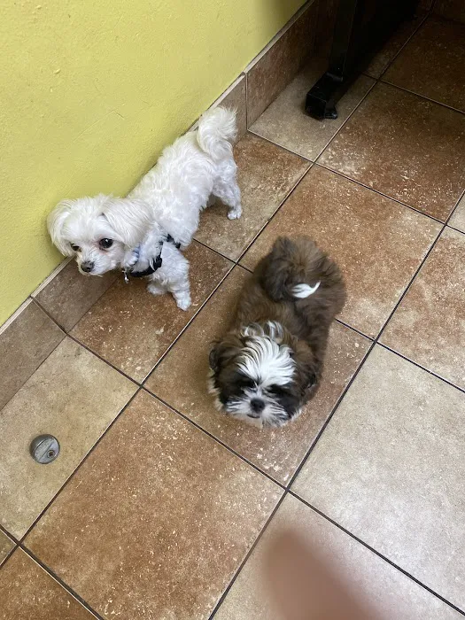 Banfield Pet Hospital Picture 5