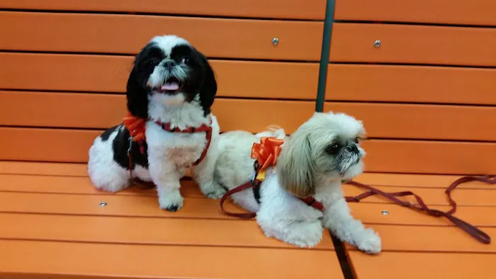 Banfield Pet Hospital Picture 4