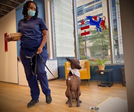 District Veterinary Hospital - Navy Yard